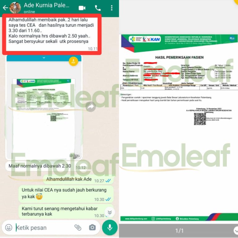 Testi-WA-Ade-Kurnia-768x768