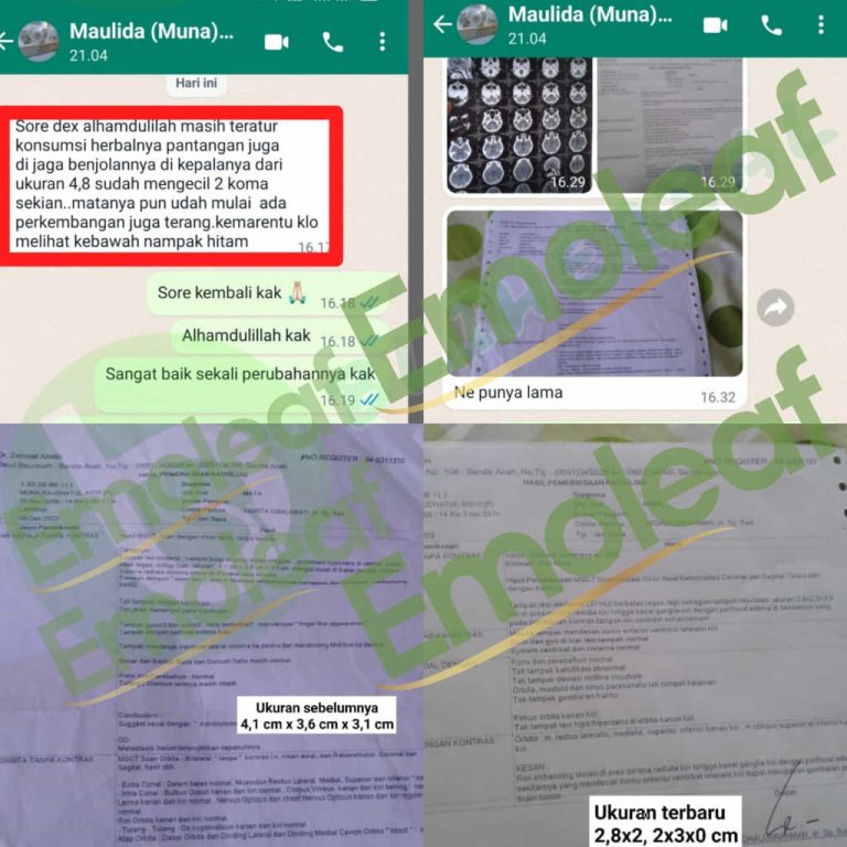Testi-WA-Maulida-768x768