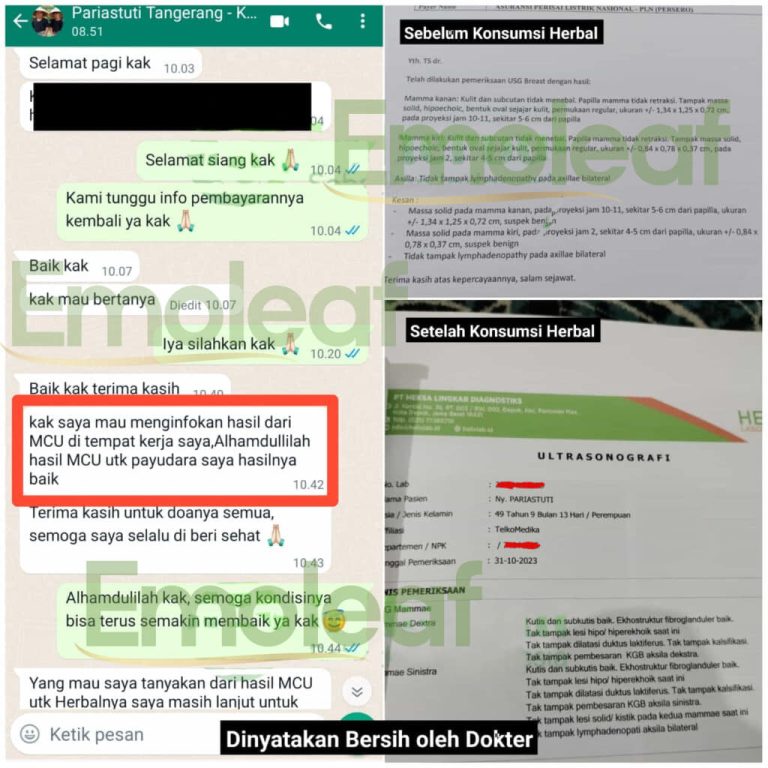 Testi-WA-Pariastuti-768x768