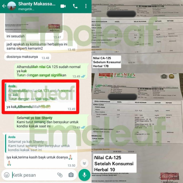 Testi-WA-Shanty-768x768